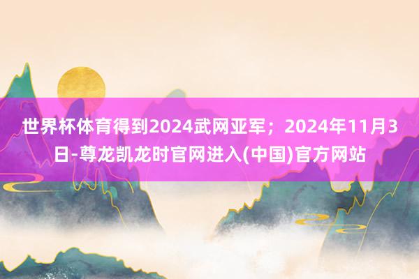 世界杯体育得到2024武网亚军；2024年11月3日-尊龙凯
