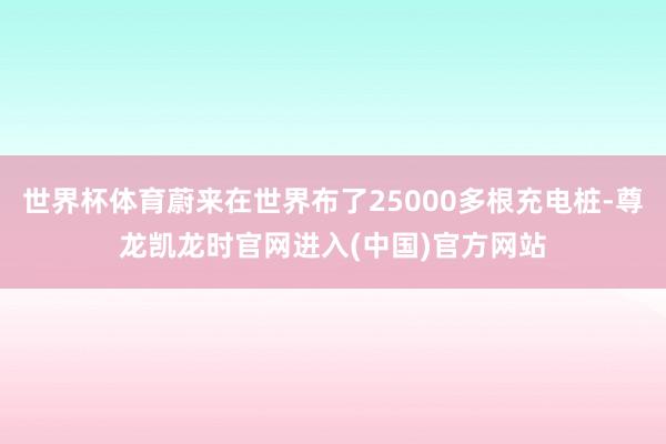 世界杯体育蔚来在世界布了25000多根充电桩-尊龙凯龙时官网进入(中国)官方网站