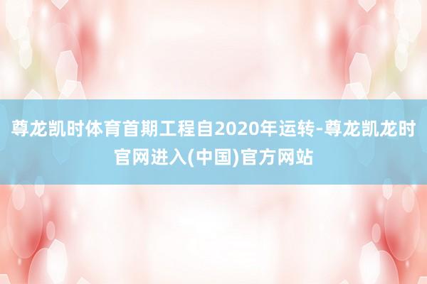 尊龙凯时体育首期工程自2020年运转-尊龙凯龙时官网进入(中国)官方网站