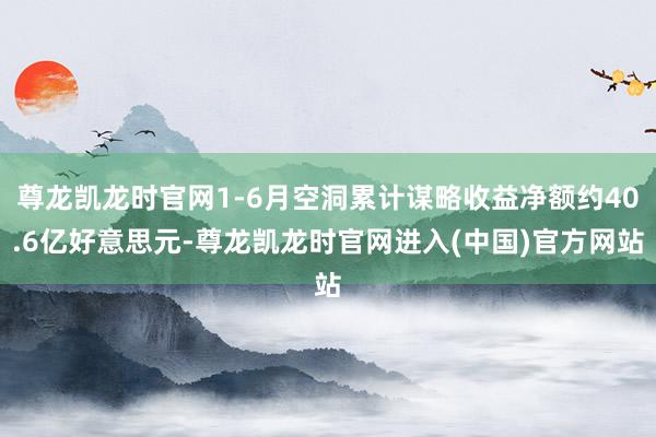 尊龙凯龙时官网1-6月空洞累计谋略收益净额约40.6亿好意思元-尊龙凯龙时官网进入(中国)官方网站