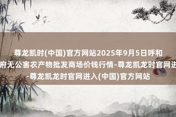 尊龙凯时(中国)官方网站2025年9月5日呼和浩特市好意思通首府无公害农产物批发商场价钱行情-尊龙凯龙时官网进入(中国)官方网站