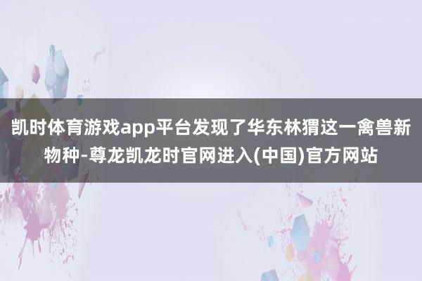 凯时体育游戏app平台发现了华东林猬这一禽兽新物种-尊龙凯龙