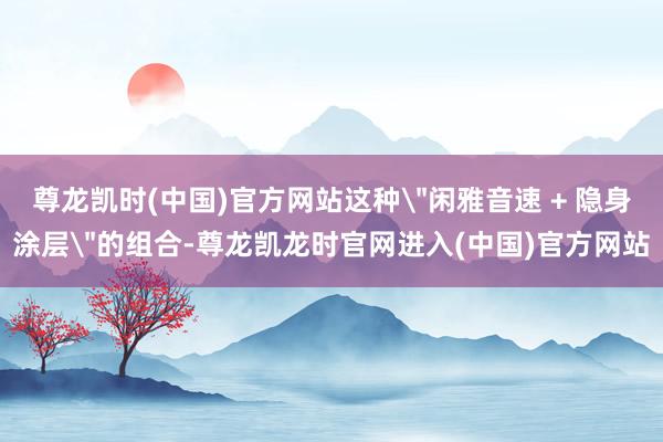 尊龙凯时(中国)官方网站这种＂闲雅音速 + 隐身涂层＂的组合