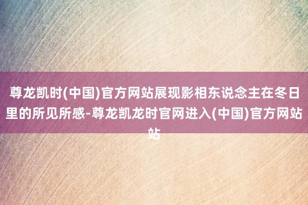 尊龙凯时(中国)官方网站展现影相东说念主在冬日里的所见所感-