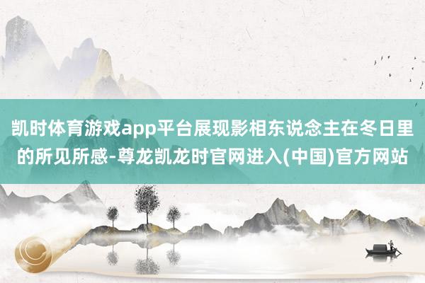 凯时体育游戏app平台展现影相东说念主在冬日里的所见所感-尊